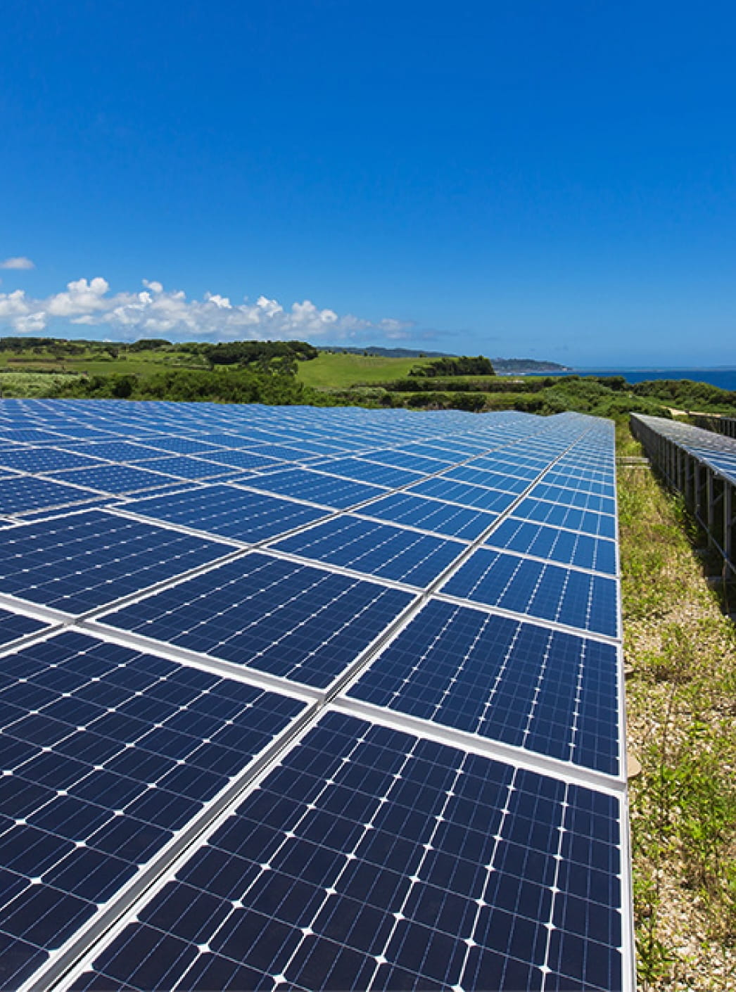 太陽の光を受けて光るソーラーパネルが整然と並んでいる